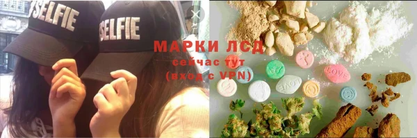 прущие грибы Абаза