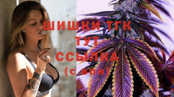 прущие грибы Абаза