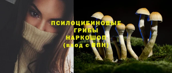 молекула духа Алексин