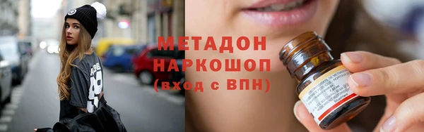прущие грибы Абаза