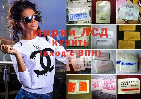 прущие грибы Абаза