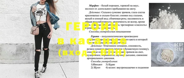 прущие грибы Абаза