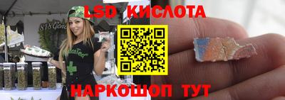 СК Шебекино
