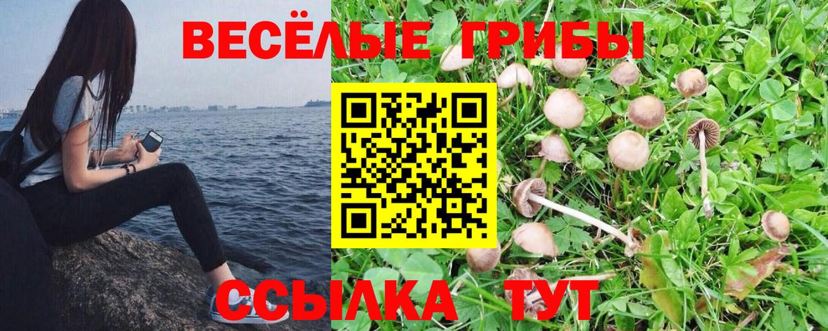 Красноперекопск  Галлюциногенные грибы ЛСД  как найти наркотики  Вход с VPN 